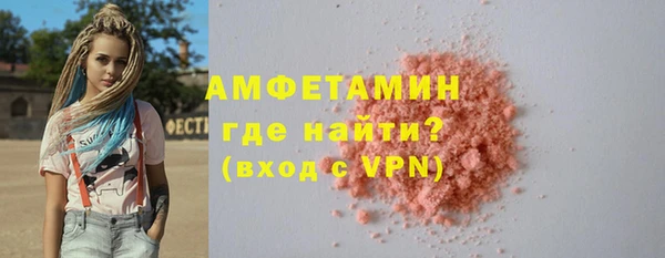 дмт Бородино
