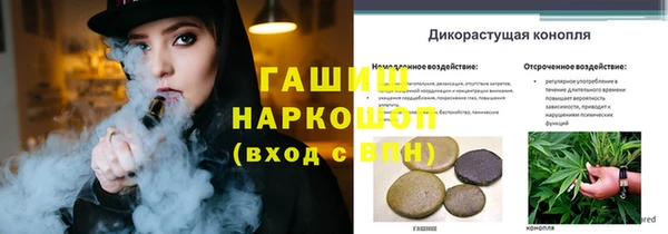 дмт Бородино