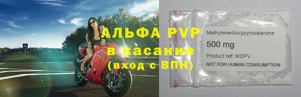 дмт Бородино