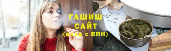 дмт Бородино
