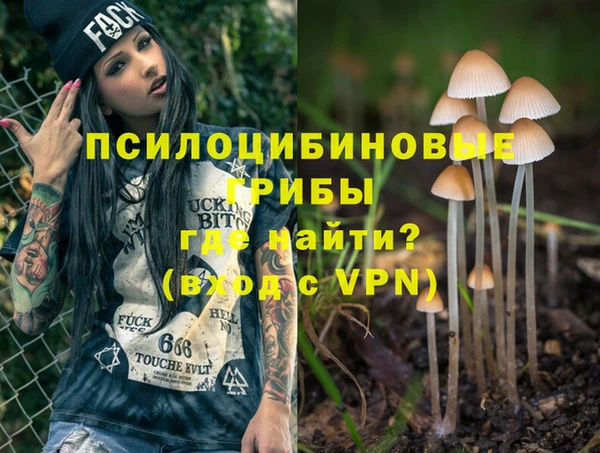 дмт Бородино