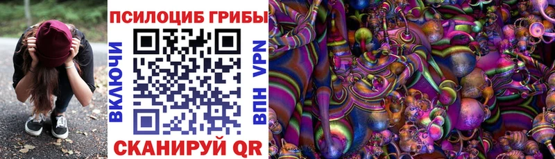 Псилоцибиновые грибы прущие грибы  Дегтярск 